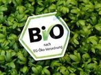 Bio-Oktoberfest: Ökologische Aspekte der Wiesn