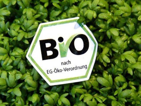 bio oktoberfest wiesn