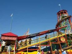 Toboggan Toboggan