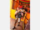 Event in Wiesn 2009 - Tag 1 location Wiesn 2009 - Tag 1