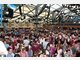 Event in Wiesn 2009 - Tag 1 location Wiesn 2009 - Anstich