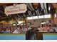 Event in Spatenbr&auml;u-Festhalle location Wiesn 2009 - Tag 4