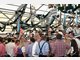 Event in Schottenhamel location Wiesn 2009