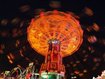 Wissenschaftler erklären: Wie uns die Wiesn den Kopf verdreht