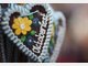 oktoberfest wiesn bilder theresienwiese