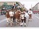 oktoberfest wiesn theresienwiese