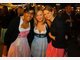 Oktoberfest Dirndl Wiesn