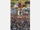 Wiesn 2011, Besucher, letzter Abend