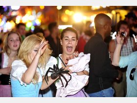 Oktoberfest Wiesn 2011