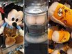 Oktoberfest: München im Wiesn-Fieber