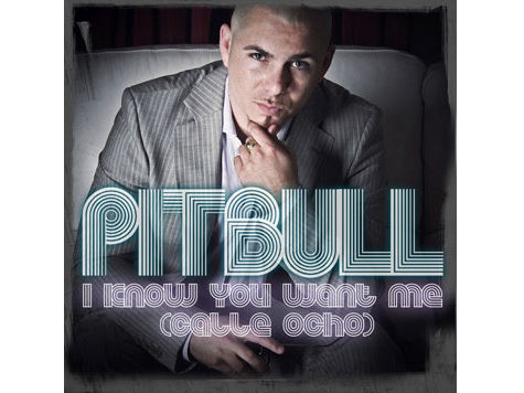 Pitbull